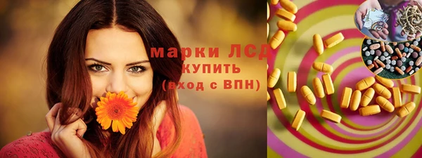 СК Алексин