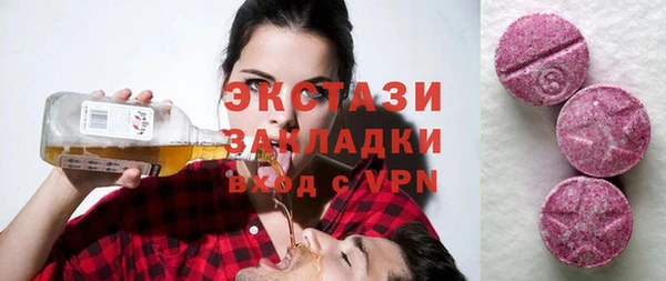 СК Алексин
