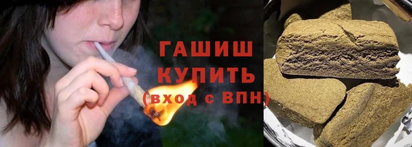 СК Алексин