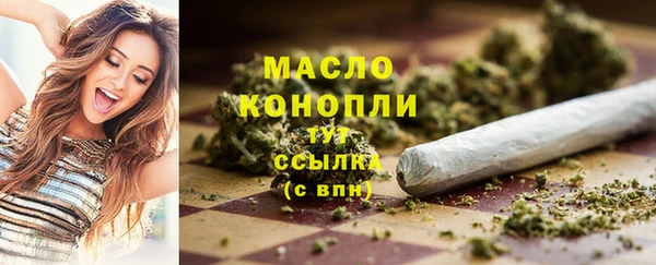 СК Алексин