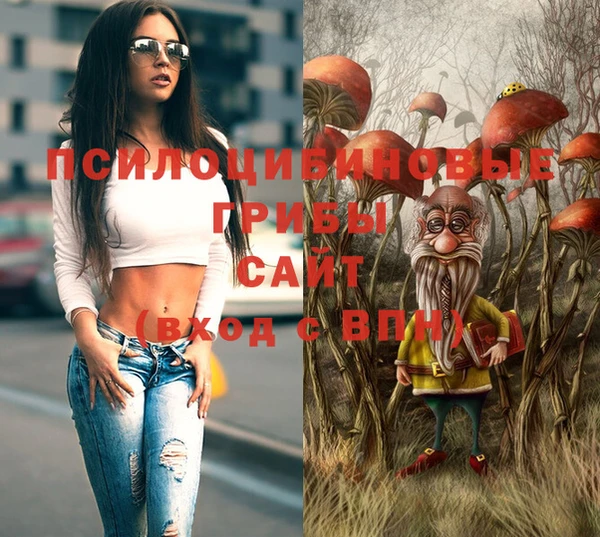 a pvp Алзамай