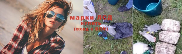 СК Алексин